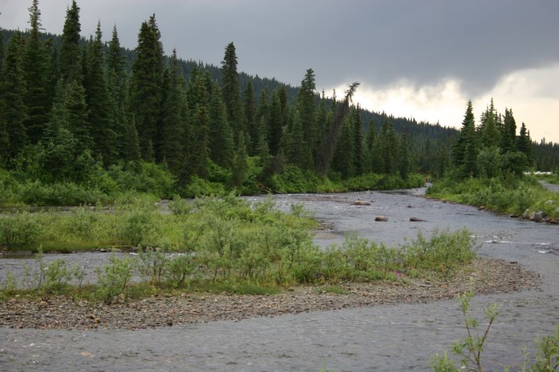 070404 Hope Hatcher Montana Creek (10188)